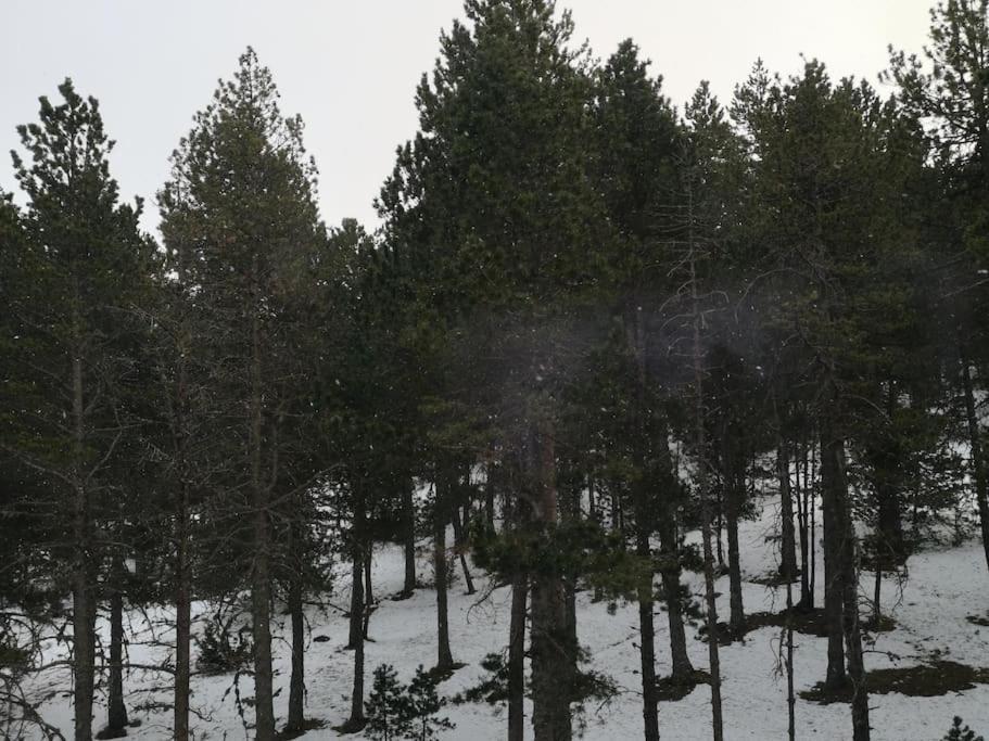 Apartamento A 200 Metros De Port Del Comte Ski La Coma I La Pedra Esterno foto